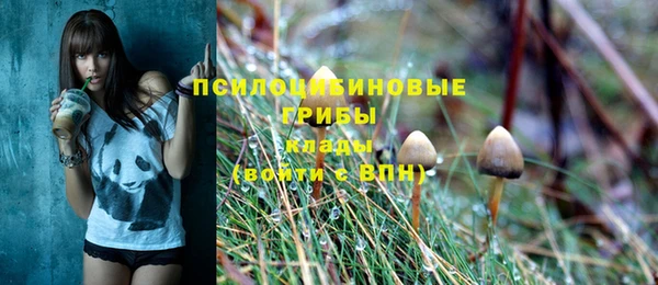 бошки Волосово